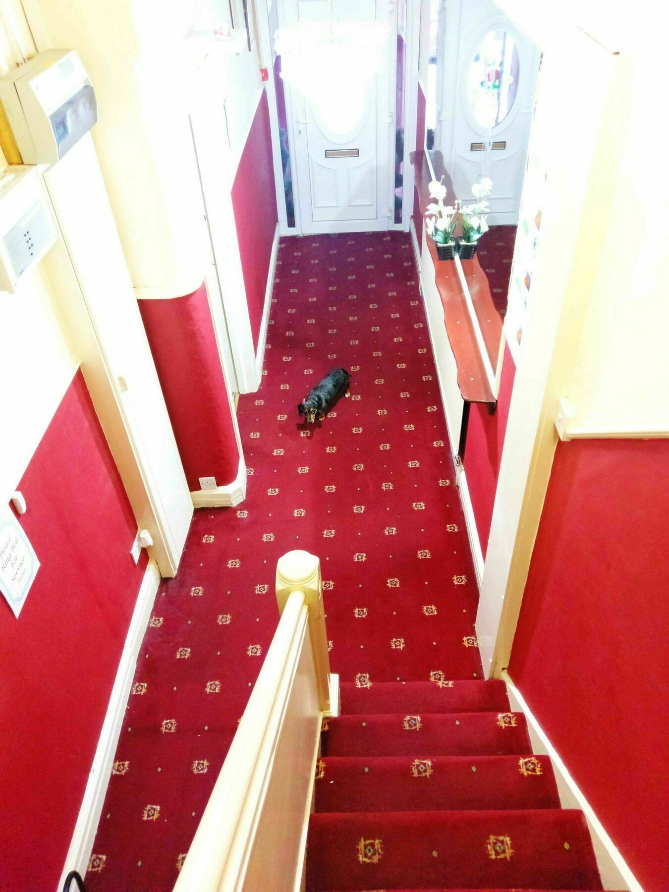 Bed and Breakfast Ringbane House à Blackpool Extérieur photo